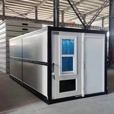 Good Quality and Low Price 20 FT Portable Foldable Container House