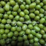 green mung bean (organic/conventional)