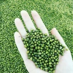 Green Mung Beans