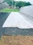 Import Ground Cover 100% PP Woven Weed Control Fabric Multi-Span Agricultural Greenhouses Spun-Bonded Qingdao Factory from China