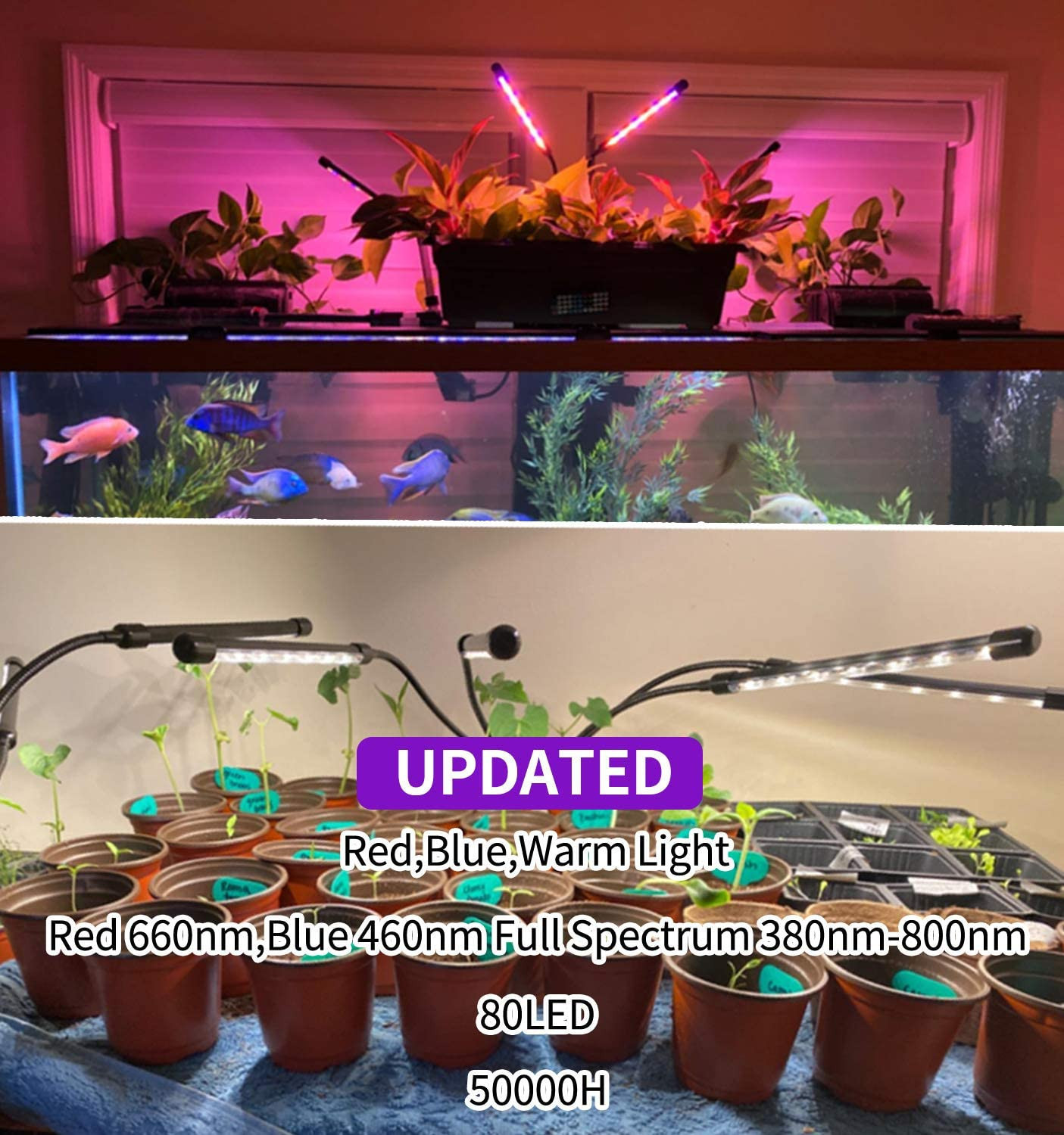 Buy Grow Light For Indoor Plants 80 Led Lamps With Full Spectrum & Red ...
