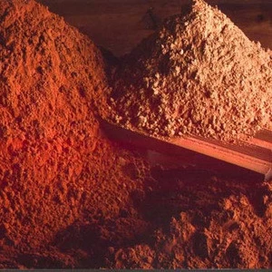Guangzhou supplier alkalized cocoa powder with best price