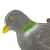 Import GZ38-0016 EVA wings flocked plastic flying pigeon decoy Hunting Decoy Dove Decoy from China