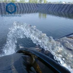HDPE LDPE LLDPE PVC Material Geomembrane