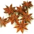 Import Herbs and spices/ Star anise from Vietnam