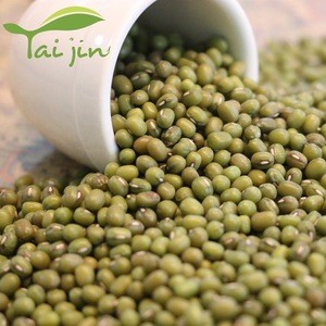 High Quality 3.6-3.8mm Well Green Mung Bean For Sprouting