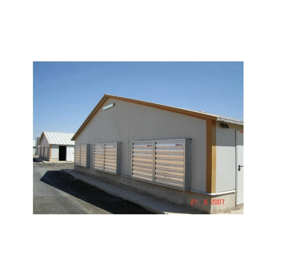 high quality chicken house steel structure broiler house design poultry farm shed for chicken farm building and broiler house