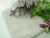 Import high quality frozen hairtail /mix /white croaker /renkotai fish surimi from China