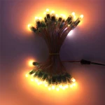 High Quality GEL Cable Led Pixel 2811 12mm Full Colors Pixel LED Light