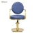 Import High-quality golden salon beauty styling barber chair newest saloon chair all purpose styling chair from China