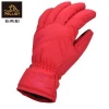 High Quality Outdoor Winter Warm Sports Waterpoof Snow Ski Gloves