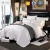 Import Hilton bedding used 60*40S high quality 5 star hotel bedding sets from China