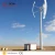 Import Hot Geya 300W Low Start Wind Speed Vertical Axis Windmill Price For home Use from China