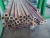 Import Hot sale continuous casting copper alloy pipe from China