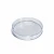 Import Hot sale glass disposable petri dish 100mm from China
