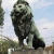 Import hot sale marble lion statues stone carvings and sculptures from China