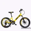 Hot sale single speed boys 20 inch mountain bike / high quality big kids bikes / cheap price China children bicycle for sale