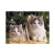 Import Hot Sale Wholesale Lenticular 3D Pictures of Animal cheap 3d picture from China