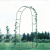 Import Hot sell Outdoor Metal Rose Garden Arch from China