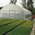 Import Hot selling Low Cost Agricultural Farm Commercial Green House from China