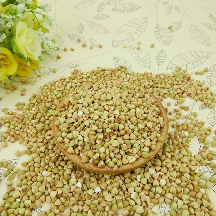 Hot selling raw buckwheat in China