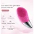 Import Hot Selling Utrasonic Facial Cleansing Brush USB Charging Waterproof Face Brush from China