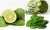 Import Hystrix Natural Dried Herb Kaffir Lime Fresh Citrus Fruit from Thailand