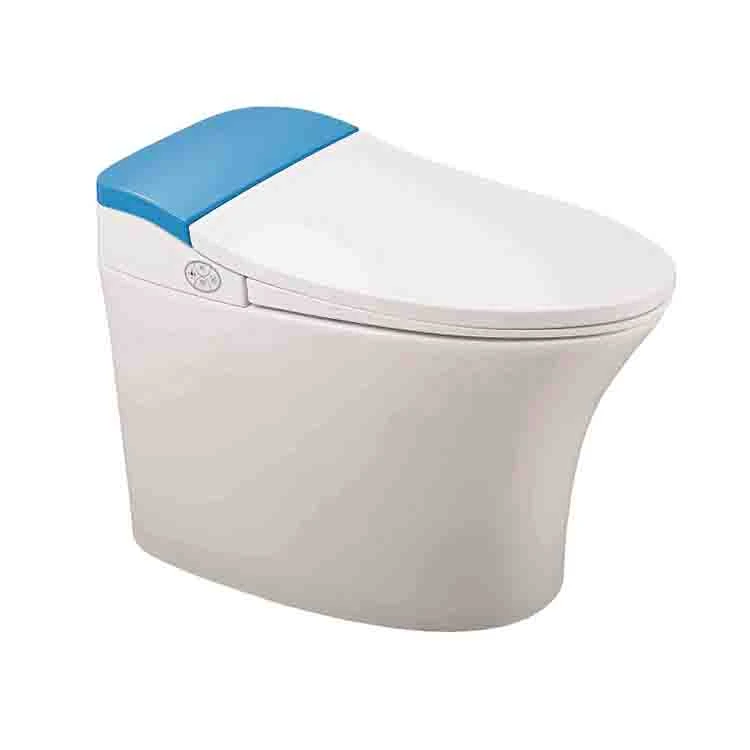 Incinerating Washdown automatic flush smart toilet with bidet