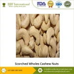 Indian Scorched Wholes Cashew Nuts at Reasonable Price