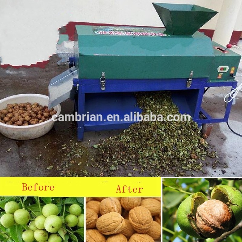 Industrial green skin walnut peeler for sale