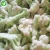 Import Iqf Freezing Food Vegetables Frozen Cauliflower from China