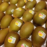 IQF Frozen Kiwi bulk organic fruit