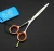 Import JOEWELL 5.0 inch/ 5.5 inch  stainless steel  hair scissors cutting scissors 4CR 62HRC Hardness with golden screw from China