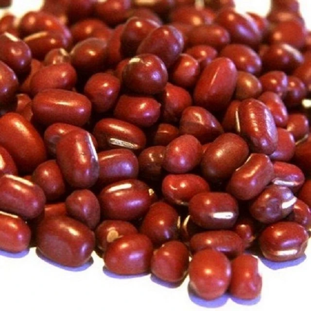 Kidney Beans Size 220-240 97% Available For Export
