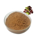 Kosher Certified Horse Chestnut Extract