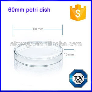 Laboratory Glassware Borosilicate Glass Petri Dishes