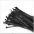 Import LDDQ Plastic eco-friendly nylon cable ties/ nylon cable tie with self-locking from China
