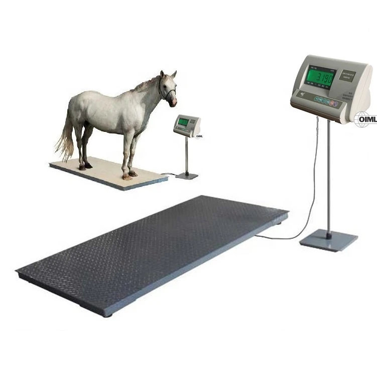Livestock animal weighing scales for 60kg sheep and cattle dog scales