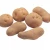 Import looking to buy fresh potatoes export suppliers potatoes vegetables from China