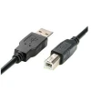 Male (A Type) on one end | USB Male (B Type) on the other end Cable