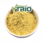 Mango Fruit Freeze-dried Juicer Powder