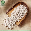 Mini Haijun Snow White Kidney Alubia Beans Poland