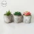 Import Modern concrete ornament iron stand succulent artificial plant with cement pot from China