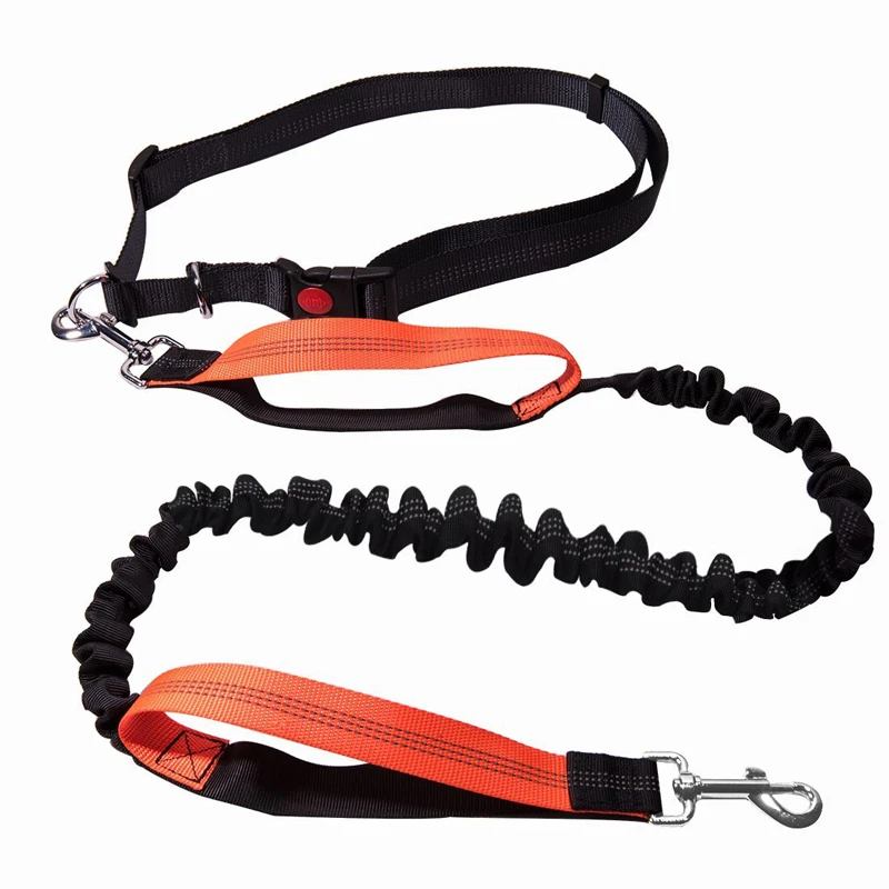 Multifunctional Dog Training Leash 3 meters Nylon Double Leash Hands free Pet Lead with Padded Handles