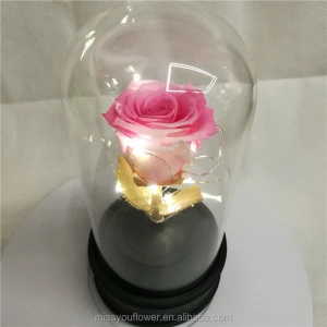 Natural Romantic Gift Eternal preserved flower Rose with LED light in Glass Dome/Tube