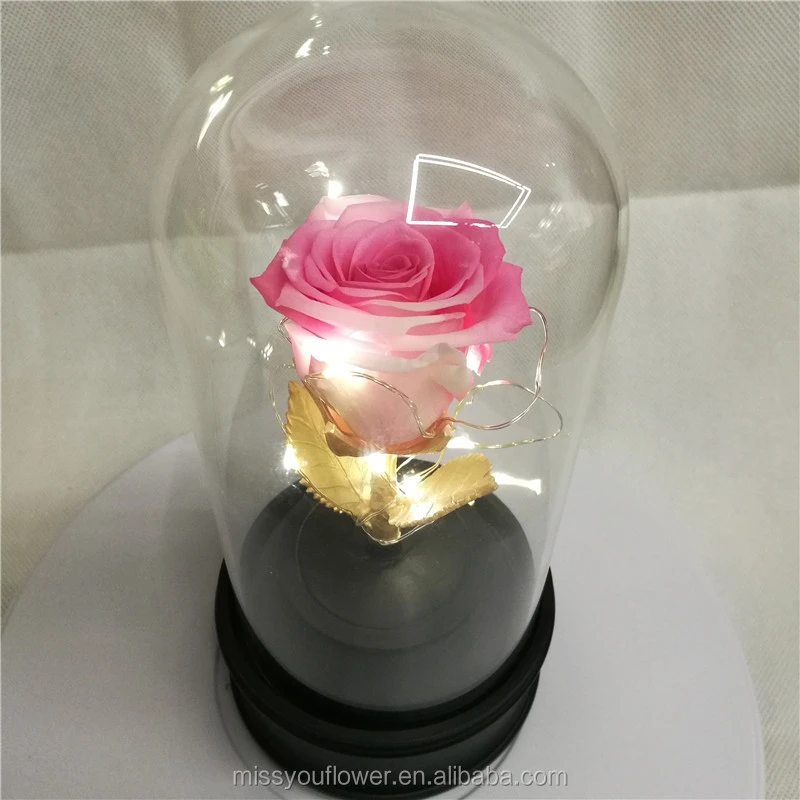 Natural Romantic Gift Eternal preserved flower Rose with LED light in Glass Dome/Tube