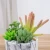 Import New design marble effect fake plants artificial succulent plants for indoor decoration from China
