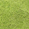 New model customized frozen green peas vegetable green peas frozen production