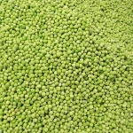 New model customized frozen green peas vegetable green peas frozen production