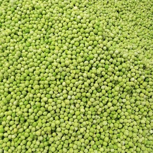 New model customized frozen green peas vegetable green peas frozen production